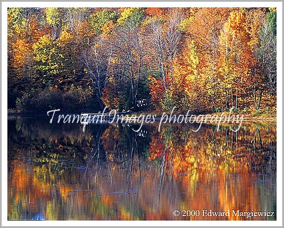 350121---Fall colors and reflections on Chandler Lake, Traverse Cityl